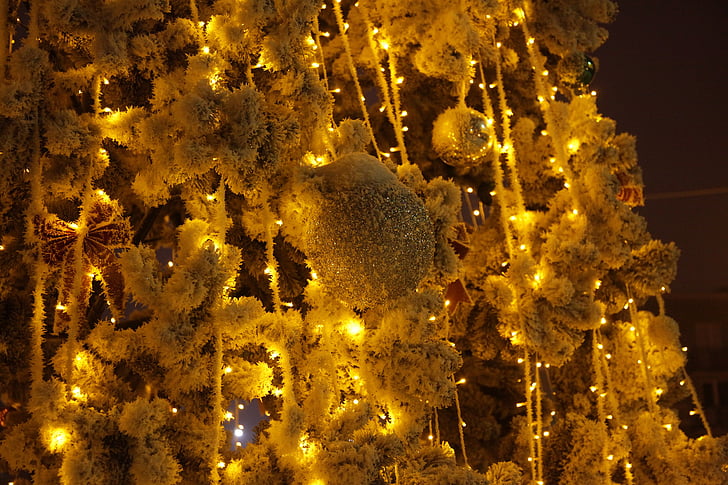 new year's eve, winter, golden spruce, snow, night
