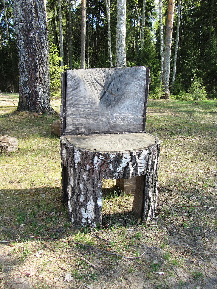 καρέκλα, δάσος, δέντρο