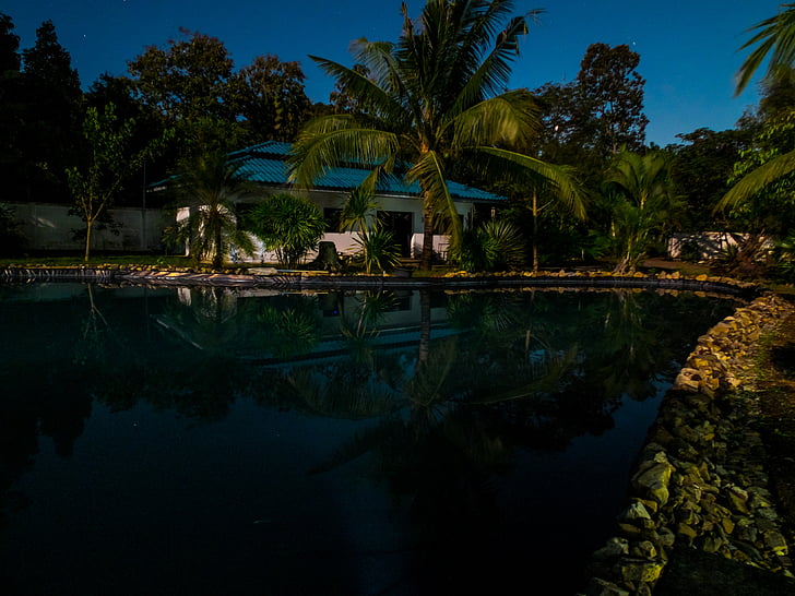满月之夜, 首页, 池塘, 晚上张照片