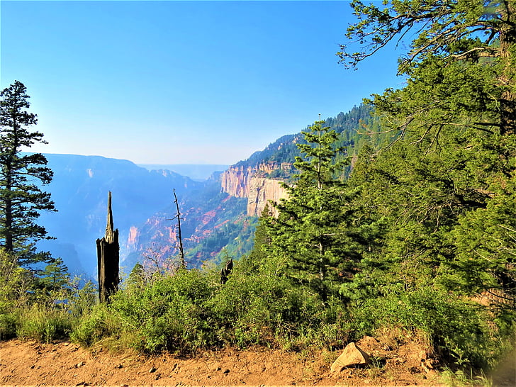 North rim del gran cañón, Mañana, caminata, Scenic, paisaje