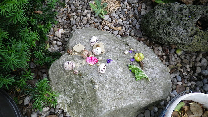Shell, kameny, hračky