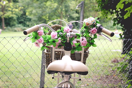 Latem, wiosna, rower, Kobieta, róże, kwiaty, roślina