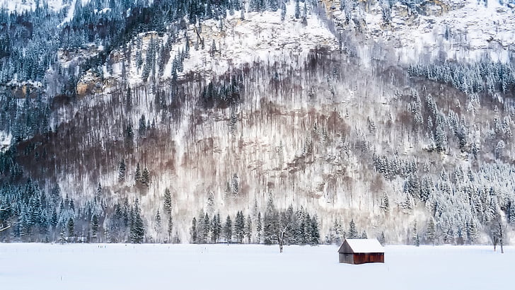 Đức, Barn, bị cô lập, một mình, dãy núi, mùa đông, tuyết