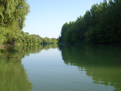 bakvatten, Donau, gren, Donau, vatten, floden, naturen