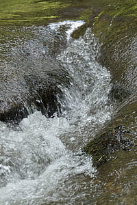 rivière, eau, nature, Fluent, flux de données, à l’extérieur, eau qui coule