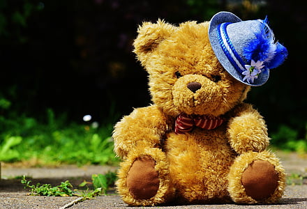 Октоберфест, Тедди, шляпа, Бавария, костюм, традиция, Мюнхен