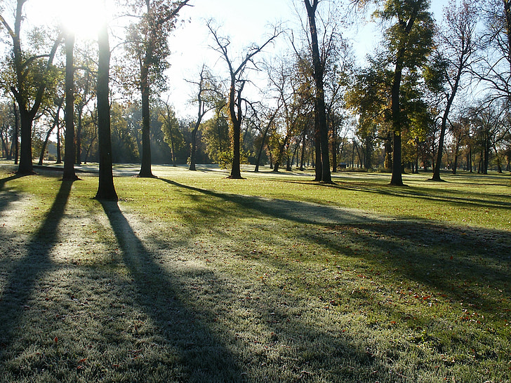 park, morning, dew, frost, trees, autumn, public