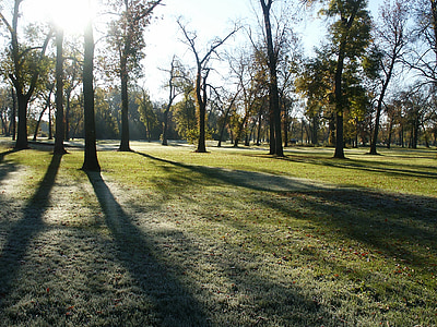 Parque, manhã, orvalho, geada, árvores, Outono, público