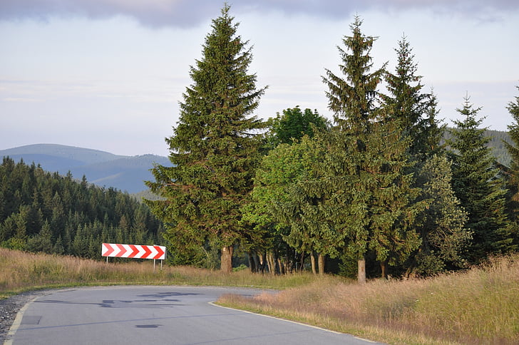 road sign, signpost, way, tree, landscape, asphalt