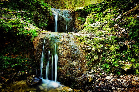 poland, valley bolechowicka, nature, green, waterfall, stream, forest