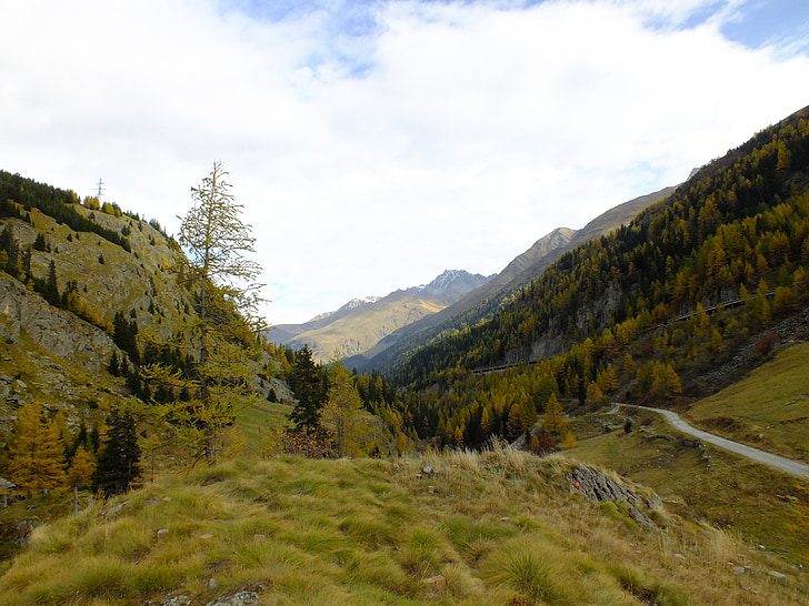 mountains, switzerland, green, autumn, alpine, great st bernard