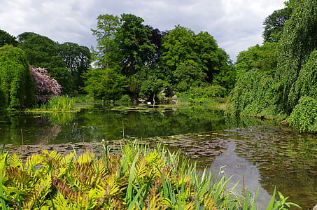 france, pond, water, trees, summer, spring, plants