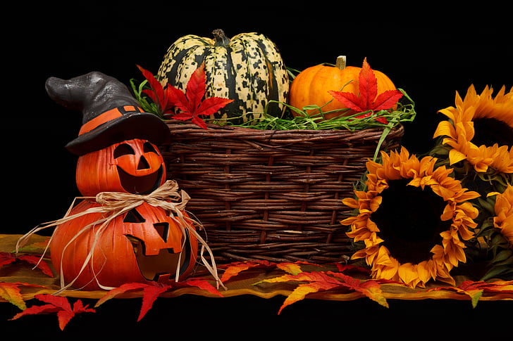 efterår, sort, mørk, dekoration, falder, Halloween, høst