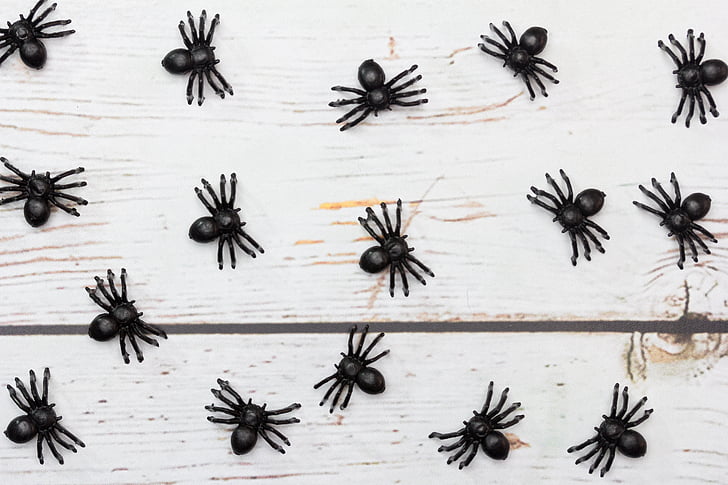pająki, z tworzyw sztucznych, Zabawka, czarny, plaga, Obiekt, dzieci