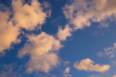 faible, angle, photographie, avion, bleu, blanc, nuageux