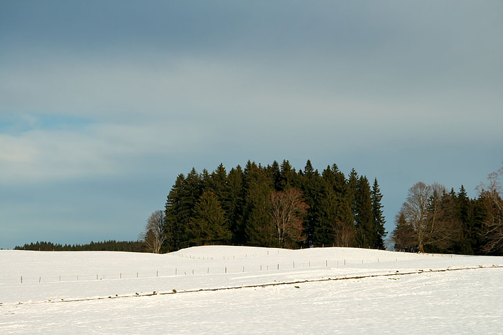 Niemcy, Bawaria, Natura, zimowe, śnieg, pole, lasu