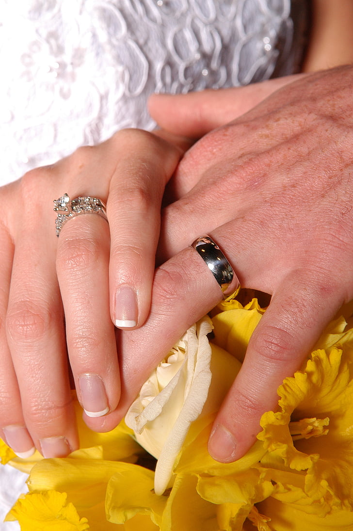 manos, matrimonio, anillos, boda, narcisos, compromiso, mano humana
