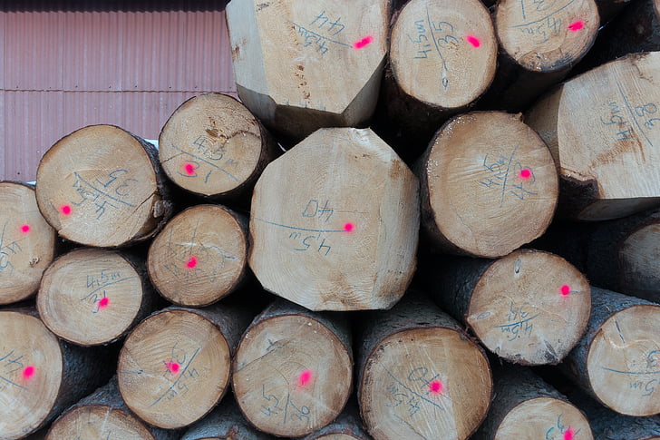 log, timberyard, mark, valuable, timber, storage, drying
