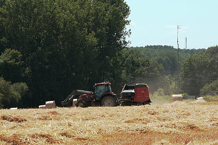 traktor, arbeide i feltene, høy, grovfôr