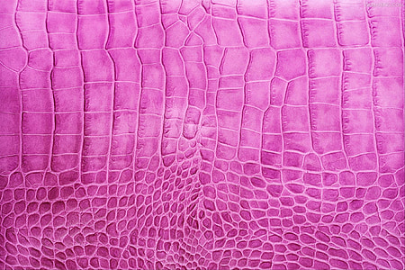background, pink, grain, leather, crocodile, artificial, fashion