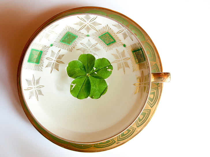 glückstee, fünfblättriges shamrock, symbol of good luck, luck, four leaf clover