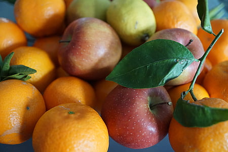 obuolių, vaisių, spalvinga, valgyti, lapų, mandarinų, sveikas