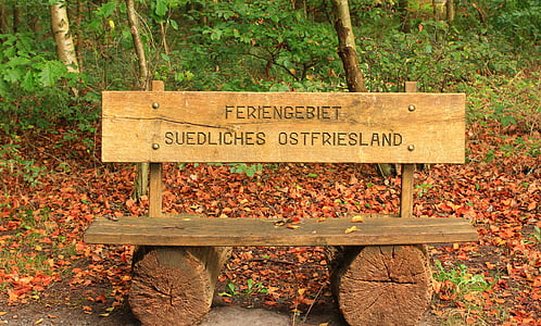 bench, bank, forest, nature, autumn, rest, seat