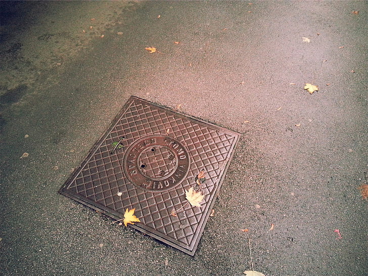 brown, square, man, hole, lid, sewer, pavement