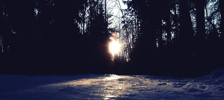 winter, nature, snow, cold, landscape, trees