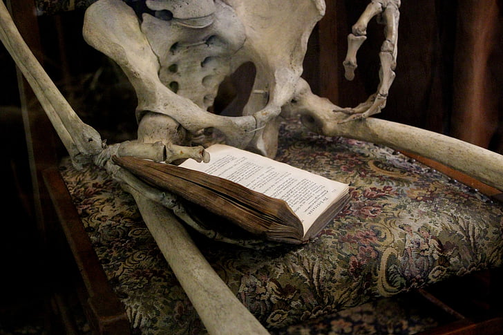 knjiga, čitanje, kostur, kosti, čitanje knjiga, čitanje, studija