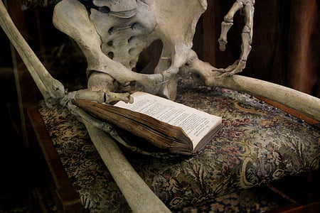 libro, lettura, scheletro, ossa, libro di lettura, leggere, Studio