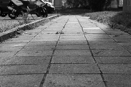 pavement, path, walking, walk, shading, black and white, travel