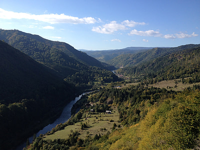penya-segat, Vall, bosc, Transsilvània, calimani