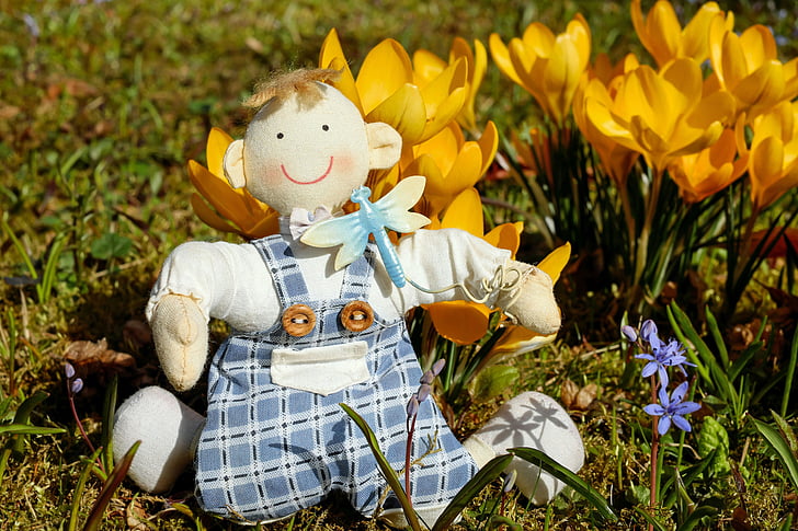 Anak laki-laki, boneka, kain, Duduk, Bahagia, padang rumput, bunga Padang rumput