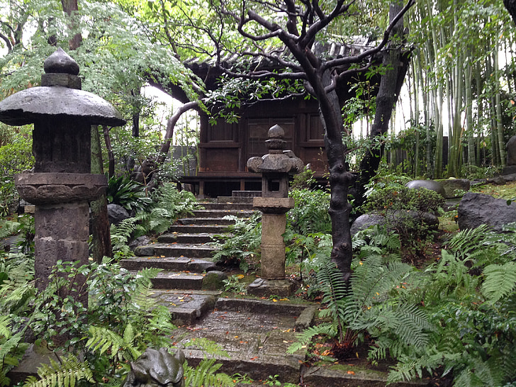 Sân vườn, khu vườn Nhật bản, tearoom