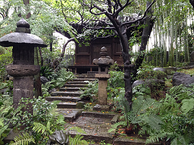 garden, japan garden, tearoom