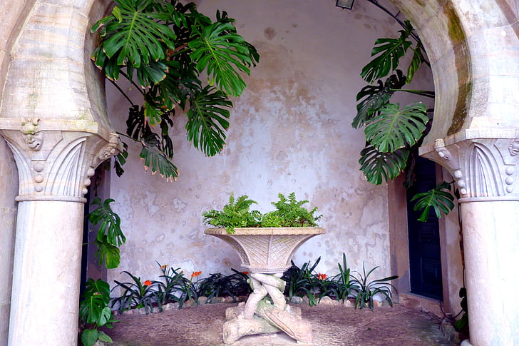 obok, rastlin, kamnita miza, stolpci