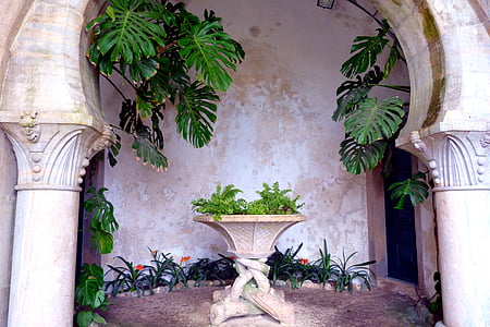 voûte, plante, table en pierre, colonnaire