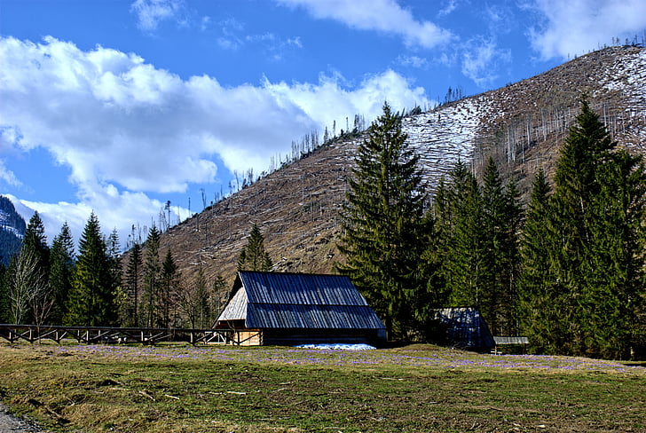 Tatry, Kościeliska vallei, winter, lente, Toerisme, Westelijke Tatra, landschap