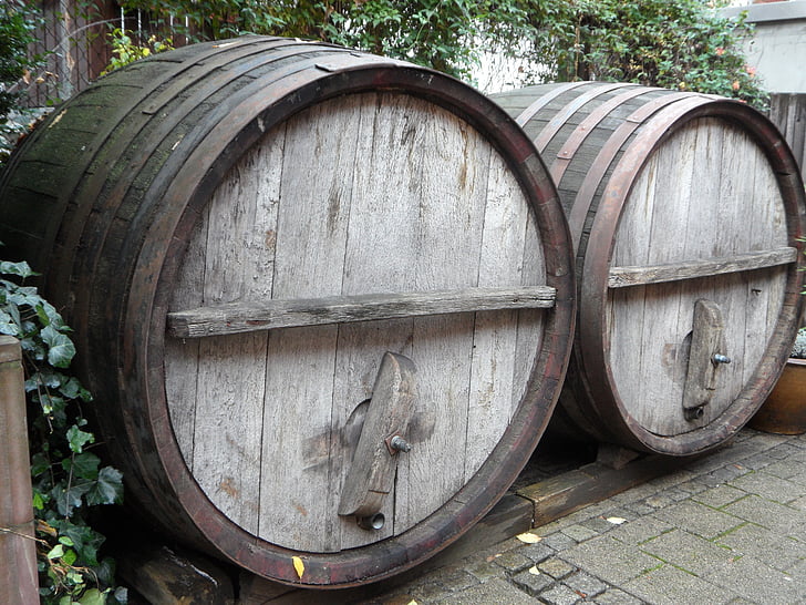barrelit, veini vaatides, barrel, veini barrel, veini, metsas, puidust