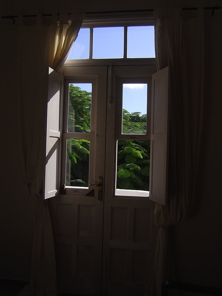 akna, taustvalgus, taevas, taimestik, päike, uksed, valge