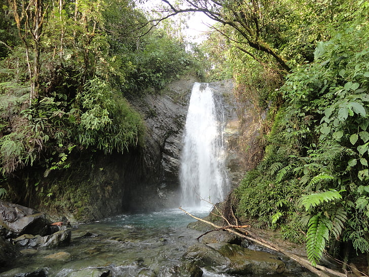cascata, foresta pluviale, cascata, Jungle, selvaggio, natura, America Latina