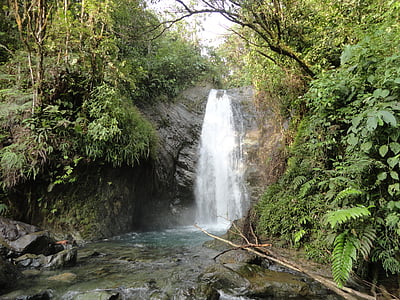 cascata, floresta tropical, Cachoeira, selva, selvagem, natureza, América Latina