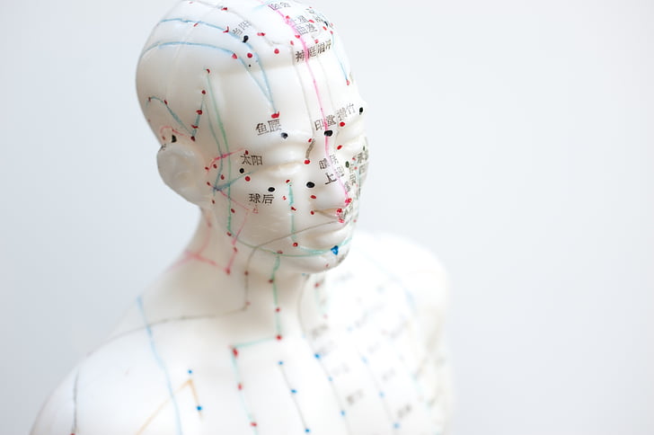 aiguille, acupuncture, agujas acupuntura, model, mannequin, map, human body