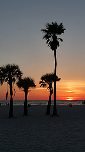 Západ slunce, Palmové stromy, pobřeží, silueta, dlaně, obloha, večerní obloha