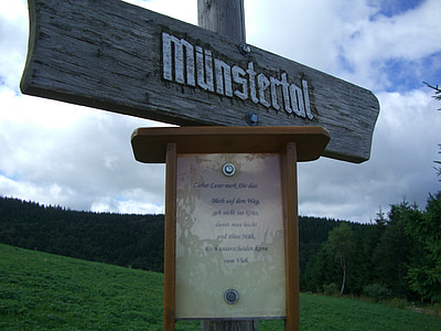 directory, wood, münstertal, sky, clouds