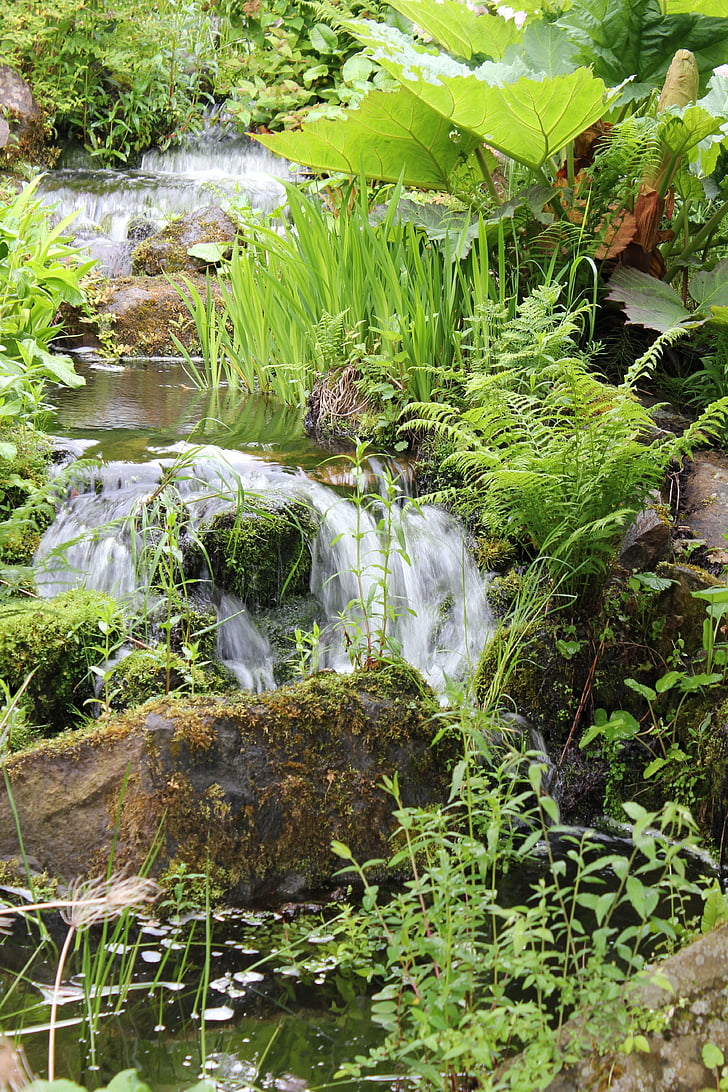 Stream, polttaa, vesiputous, vesi, River, kasvillisuus, kasvit