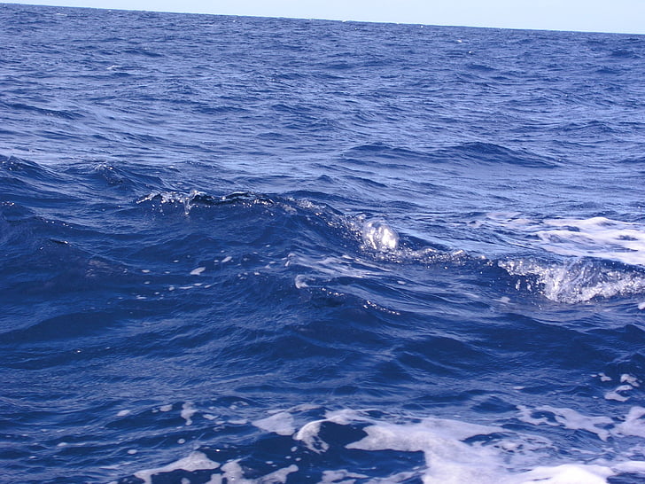 ocean, waves, blue, atlantic, water, sea, ocean wave