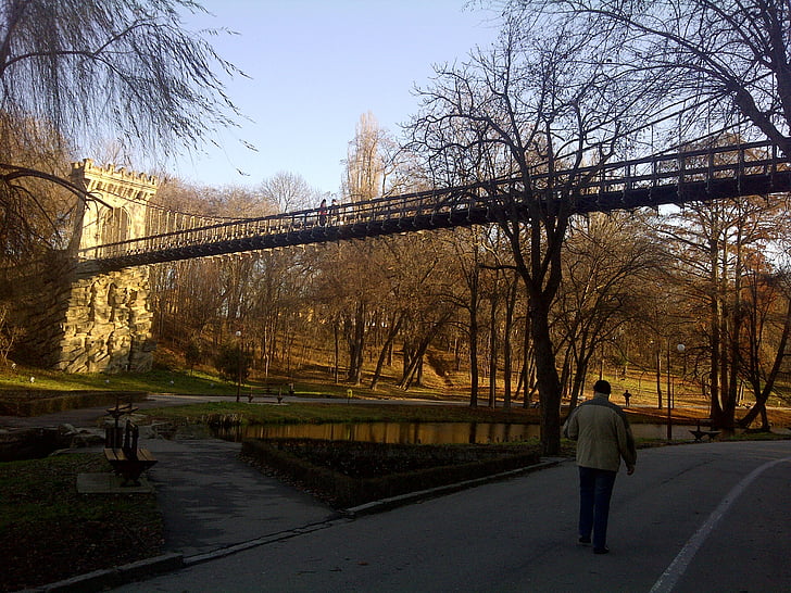 парк, алея, мост, спряно, мир, релаксация