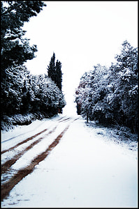 śnieg, Nevada, zaśnieżonej drodze, drzewa, zimowe, krajobraz, zimno